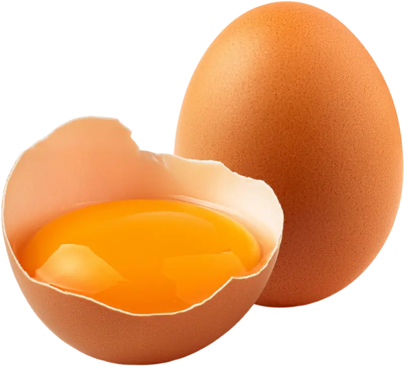 Distributor telur ayam Rossa